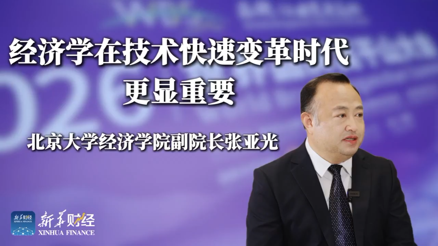 新华财经张亚光.png
